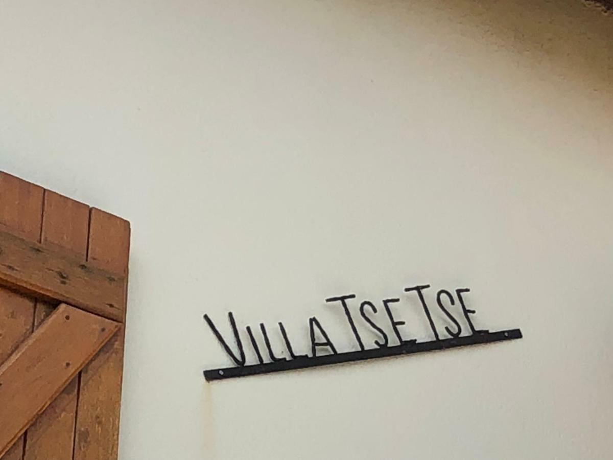 Villa Tsetse Montpellier Zewnętrze zdjęcie